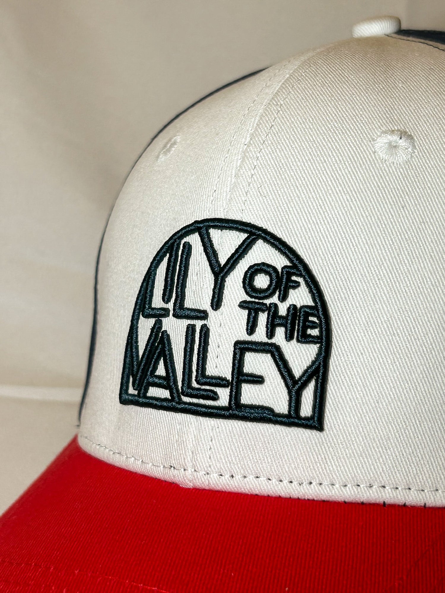 Blue, white, and red canvas cap